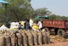 प्रदेश के सभी किसानों को धान खरीदी केंद्र में दी जा रही है सभी बुनियादी सुविधाएं