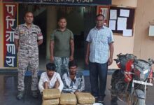 22.800 किलो गांजा के साथ 2 आरोपित गिरफ्तार