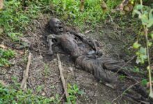 झाड़ियों में नर कंकाल मिलने से हड़कंप