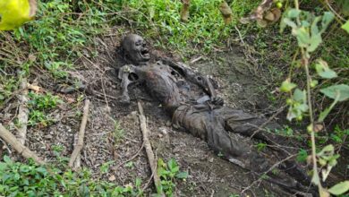 झाड़ियों में नर कंकाल मिलने से हड़कंप झाड़ियों में नर कंकाल मिलने से हड़कंप