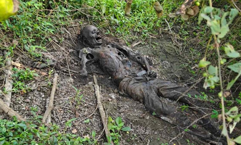 झाड़ियों में नर कंकाल मिलने से हड़कंप झाड़ियों में नर कंकाल मिलने से हड़कंप