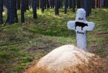 नगरीय निकायों को पशुओं के मृत शरीर के वैज्ञानिक व सुरक्षित निपटान के लिए उपयुक्त स्थल निर्धारित करने के निर्देश