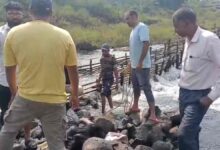 जबलपुर में पिकनिक पर गई छात्रा की मौत, दूसरी की तलाश जारी