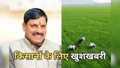 CM मोहन यादव ने किसानों के खातों में 253 करोड़ रुपये ट्रांसफर किए