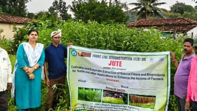 जूट के रेशों से किसान बुनेंगे तरक्की के धागे, प्रति एकड़ फसल से होगी पचास हजार की आमदनी जूट के रेशों से किसान बुनेंगे तरक्की के धागे, प्रति एकड़ फसल से होगी पचास हजार की आमदनी