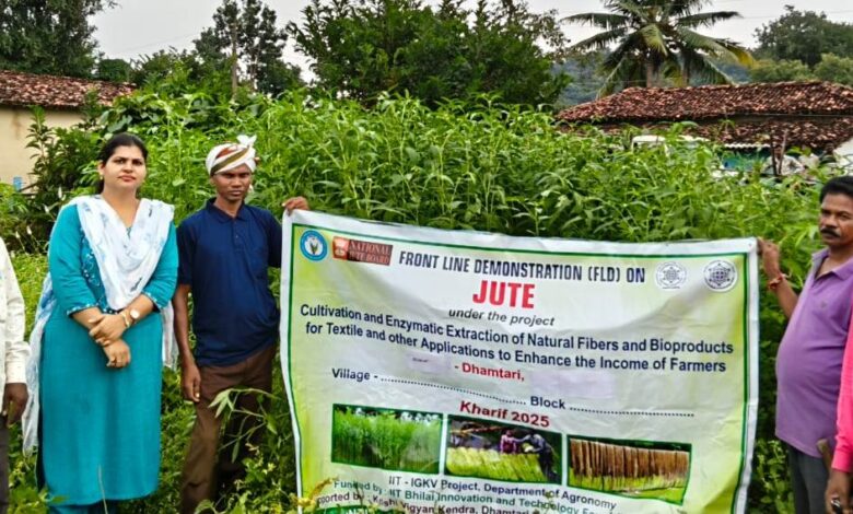 जूट के रेशों से किसान बुनेंगे तरक्की के धागे, प्रति एकड़ फसल से होगी पचास हजार की आमदनी जूट के रेशों से किसान बुनेंगे तरक्की के धागे, प्रति एकड़ फसल से होगी पचास हजार की आमदनी
