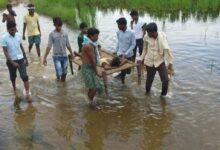 गरियाबंद में 25 साल बाद भी 61 पुल अधूरे, विकास रुका