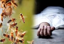 मधुमक्खी हमला: ग्रामीण की मौत