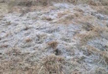 ठंड का पहला असर, जशपुर में बर्फबारी