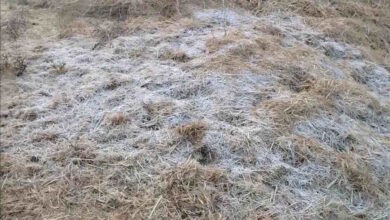 ठंड का पहला असर, जशपुर में बर्फबारी