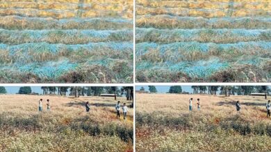 “सरगुजा में ठंड का कहर, न्यूनतम तापमान 6.2°C” “सरगुजा में ठंड का कहर, न्यूनतम तापमान 6.2°C”