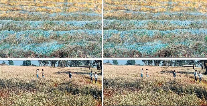 “सरगुजा में ठंड का कहर, न्यूनतम तापमान 6.2°C” “सरगुजा में ठंड का कहर, न्यूनतम तापमान 6.2°C”