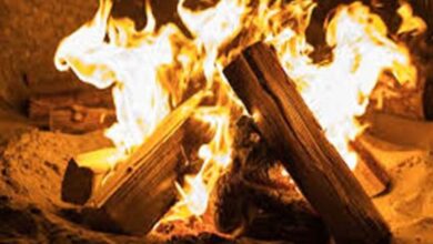 “उत्तर छत्तीसगढ़ में ठंड से दो महिलाओं की दर्दनाक मौत” “उत्तर छत्तीसगढ़ में ठंड से दो महिलाओं की दर्दनाक मौत”