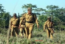 MP वन विभाग: संविदा कर्मियों के लिए फॉरेस्ट गार्ड भर्ती में 50% छूट