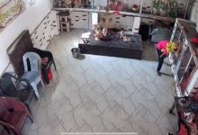 बिलासपुर: मंदिर की दानपेटी चुराने वाली तीन नाबालिगें सीसीटीवी में पकड़ी गईं