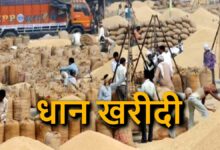 धान खरीदी पर सख़्त निगरानी, 373 मामलों में अवैध धान जब्त