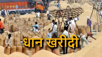 धान खरीदी पर सख़्त निगरानी, 373 मामलों में अवैध धान जब्त
