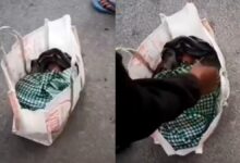 मनेंद्रगढ़ में लावारिस नवजात शिशु मिला, अस्पताल में निगरानी में