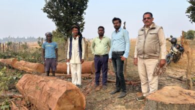 ग्राम जोलगी में बिना अनुमति काटे गए साल वृक्ष जब्त, भूमि स्वामी पर एक लाख 25 हजार का अर्थदंड प्रस्तावित