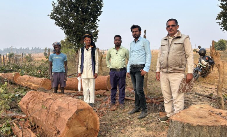 ग्राम जोलगी में बिना अनुमति काटे गए साल वृक्ष जब्त, भूमि स्वामी पर एक लाख 25 हजार का अर्थदंड प्रस्तावित