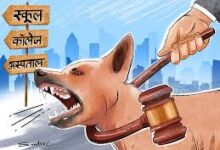 स्कूलों में आवारा कुत्तों से सुरक्षा हेतु लोक शिक्षण संचालनालय ने जारी किए महत्वपूर्ण निर्देश