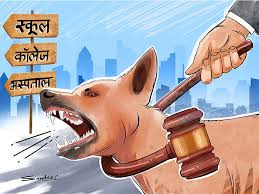 स्कूलों में आवारा कुत्तों से सुरक्षा हेतु लोक शिक्षण संचालनालय ने जारी किए महत्वपूर्ण निर्देश