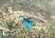 रायगढ़ में चरित्र विवाद में अधेड़ की बेरहमी से हत्या