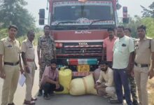 महासमुंद में 60 किलो गांजे के साथ दो तस्कर गिरफ्तार