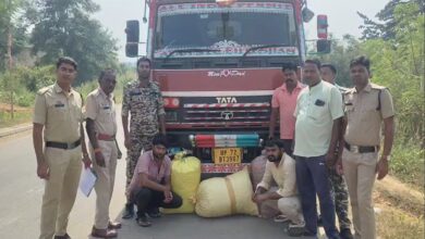 महासमुंद में 60 किलो गांजे के साथ दो तस्कर गिरफ्तार