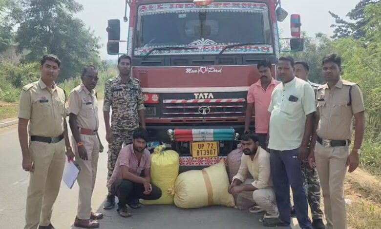 महासमुंद में 60 किलो गांजे के साथ दो तस्कर गिरफ्तार