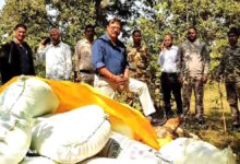 पुलिस की फिल्मी कार्रवाई में अवैध धान जब्त”