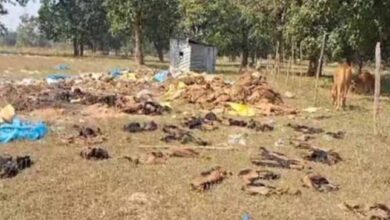 सहकारी प्रबंधक-ऑपरेटराें की हड़ताल से जिले के कई केंद्राें पर नहीं शुरु हुई धान खरीदी सहकारी प्रबंधक-ऑपरेटराें की हड़ताल से जिले के कई केंद्राें पर नहीं शुरु हुई धान खरीदी