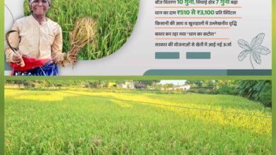 बस्तर में 25 वर्षों में फसल क्षेत्र हुआ दोगुना, बीज वितरण में हुई 10 गुना वृद्धि बस्तर में 25 वर्षों में फसल क्षेत्र हुआ दोगुना, बीज वितरण में हुई 10 गुना वृद्धि