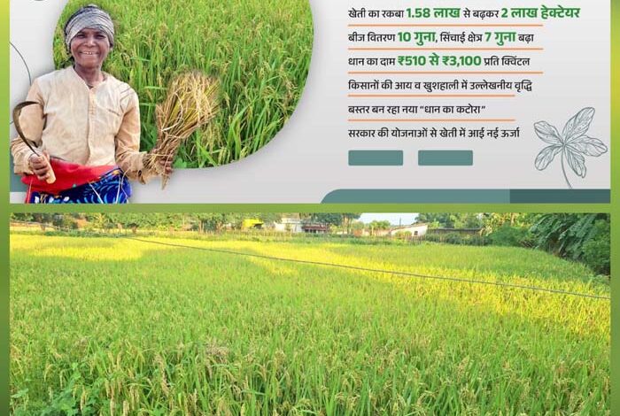 बस्तर में 25 वर्षों में फसल क्षेत्र हुआ दोगुना, बीज वितरण में हुई 10 गुना वृद्धि बस्तर में 25 वर्षों में फसल क्षेत्र हुआ दोगुना, बीज वितरण में हुई 10 गुना वृद्धि