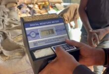 जशपुर में 2,628 किसानों से 1 लाख 67 हजार 246 क्विंटल धान की खरीदी