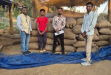 मोहला में खाद्य एवं मंडी विभाग द्वारा 40 कट्टा धान जब्त