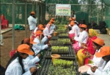 उद्यानिकी प्रशिक्षण से सशक्त होंगे किसान और युवा, हरित समृद्धि की ओर मजबूत कदम