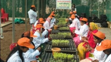 उद्यानिकी प्रशिक्षण से सशक्त होंगे किसान और युवा, हरित समृद्धि की ओर मजबूत कदम