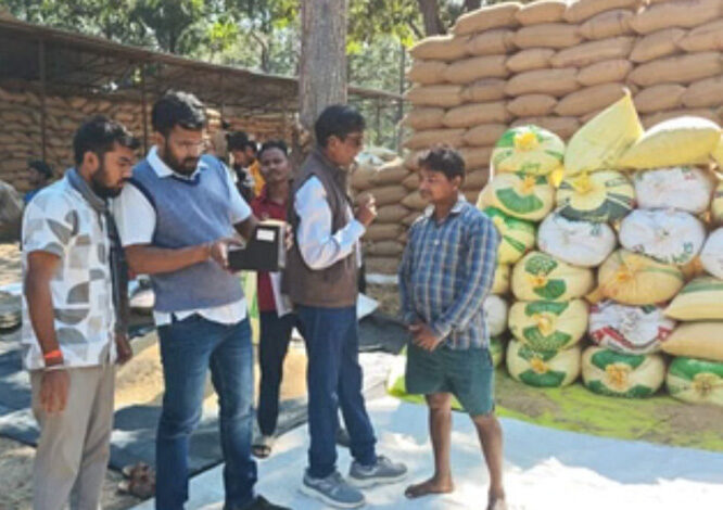 बीजापुर के 2540 किसानों को धान खरीदी का 252 करोड़ का हुआ भुगतान बीजापुर के 2540 किसानों को धान खरीदी का 252 करोड़ का हुआ भुगतान