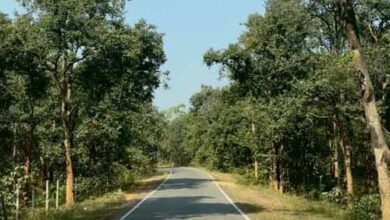 पीएम जनमन योजना से बदली ग्राम बांसकुड़ा कमार बस्ती की तस्वीर पीएम जनमन योजना से बदली ग्राम बांसकुड़ा कमार बस्ती की तस्वीर