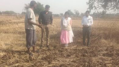 धान से हटकर समृद्धि की राह: जेवरा के किसान दिलीप ने दलहन-तिलहन से कमाए 25 लाख धान से हटकर समृद्धि की राह: जेवरा के किसान दिलीप ने दलहन-तिलहन से कमाए 25 लाख