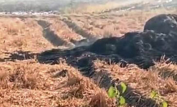 90 क्विंटल धान जलकर खाक, एक संदिग्ध गिरफ्तार