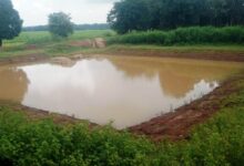 डबरी निर्माण से ग्रामीण आजीविका को मिल रही नई दिशा