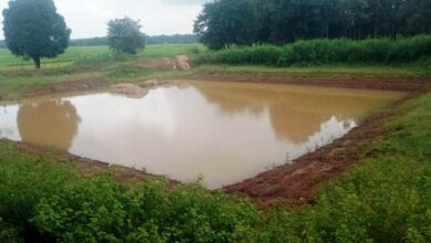 डबरी निर्माण से ग्रामीण आजीविका को मिल रही नई दिशा