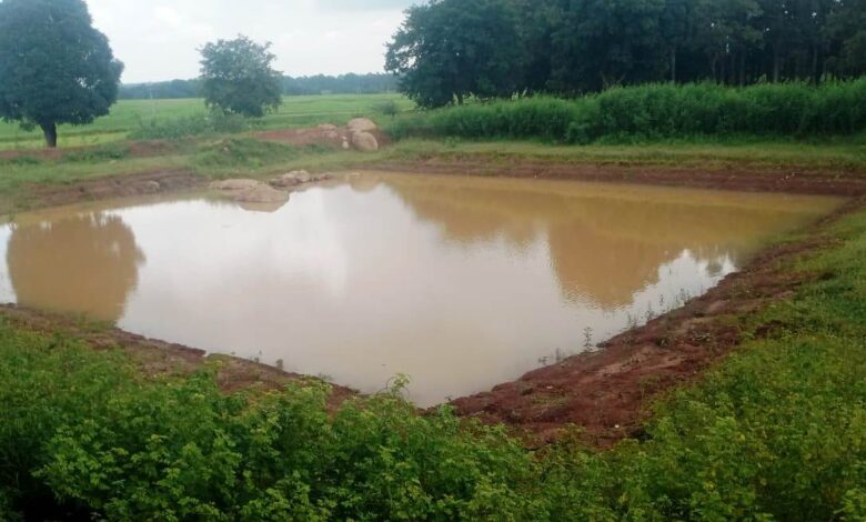 डबरी निर्माण से ग्रामीण आजीविका को मिल रही नई दिशा डबरी निर्माण से ग्रामीण आजीविका को मिल रही नई दिशा