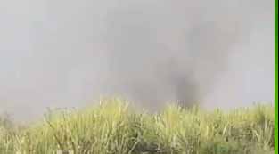 7 एकड़ में खड़ी गन्ने की तैयार फसल जमकर खाक 7 एकड़ में खड़ी गन्ने की तैयार फसल जमकर खाक