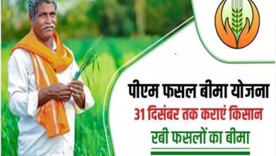 रबी फसलों के लिए फसल बीमा पोर्टल चालू, अंतिम तिथि 31 दिसंबर 2025