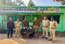 पटवारी और इंजीनियर एयरगन-चाकू सहित जंगल में पकड़े गए