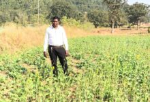 प्रधानमंत्री धन-धान्य कृषि योजना ने बदली किसानों की किस्मत