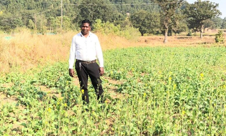 प्रधानमंत्री धन-धान्य कृषि योजना ने बदली किसानों की किस्मत प्रधानमंत्री धन-धान्य कृषि योजना ने बदली किसानों की किस्मत